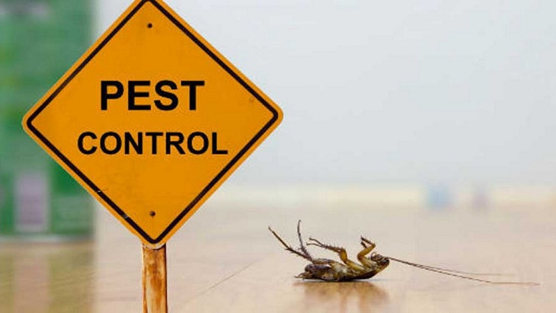 Pest Control Services in Hyderabad